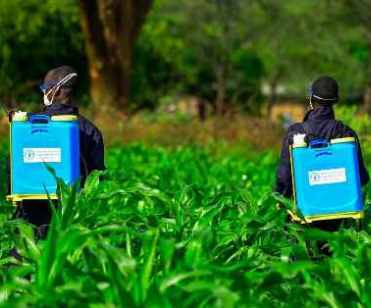 Crop Production